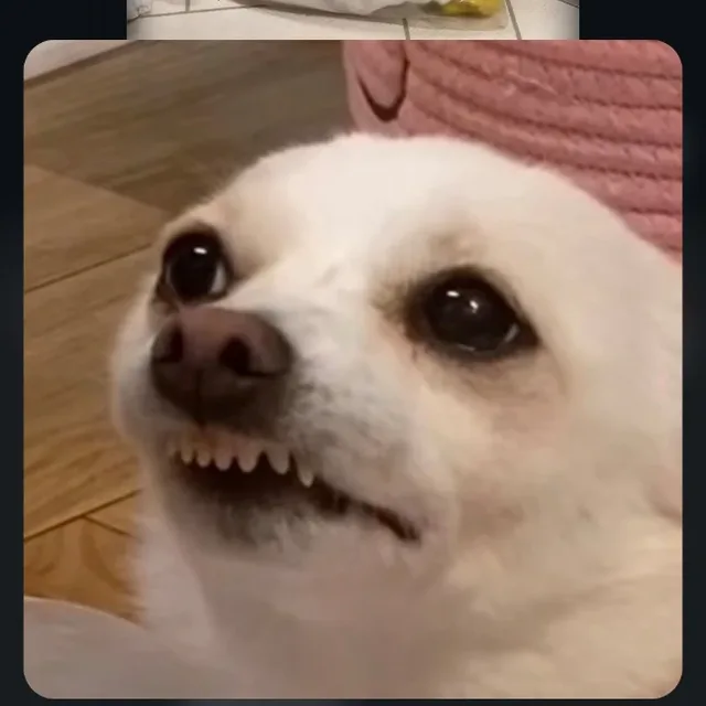 수박