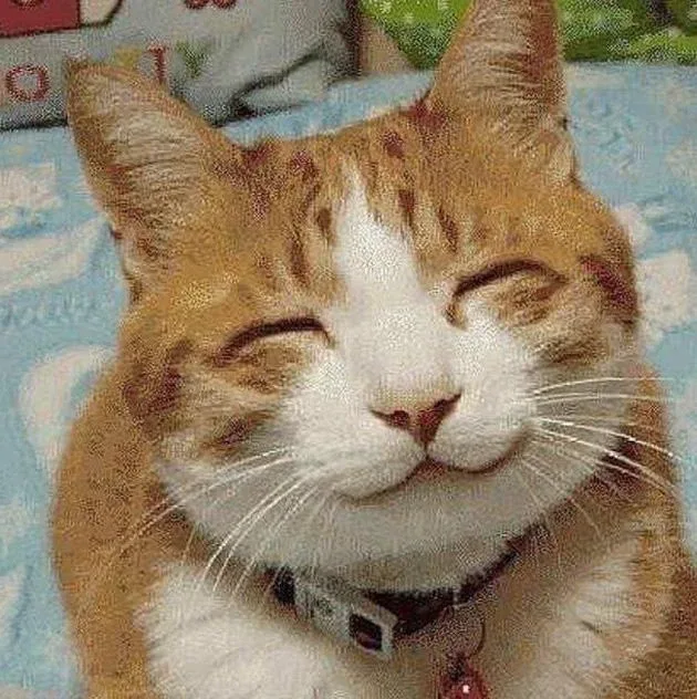몽키라이더