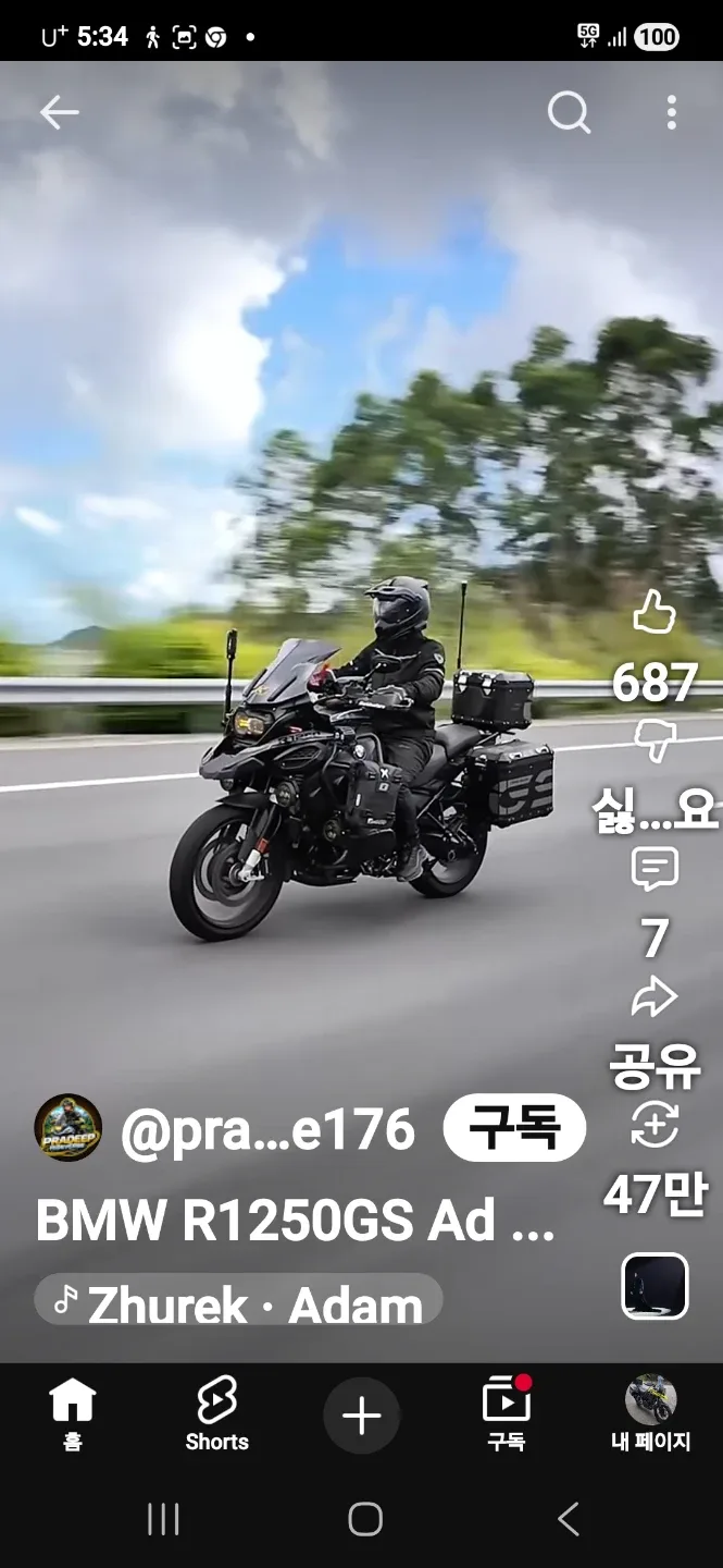 기다리는비둘기