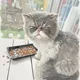 럭키럭키