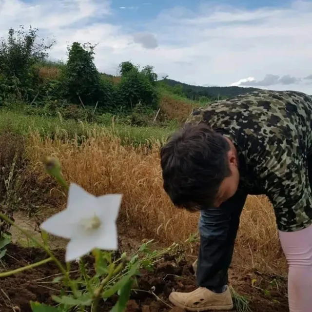 최고