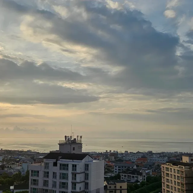 켈리