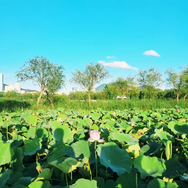 파란색