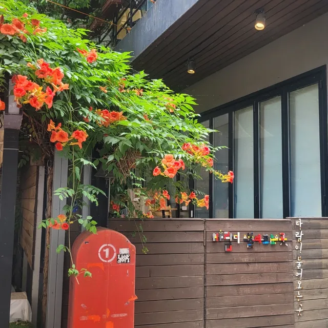 도르레