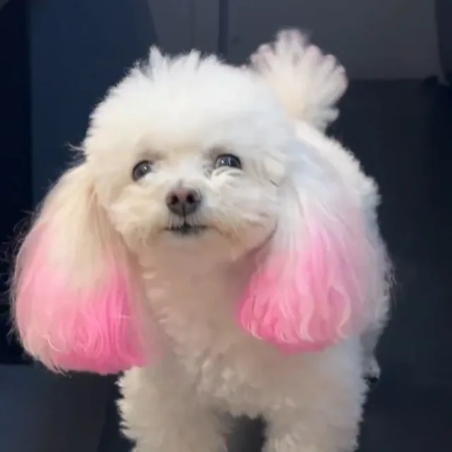 쑝따LeeENFJ