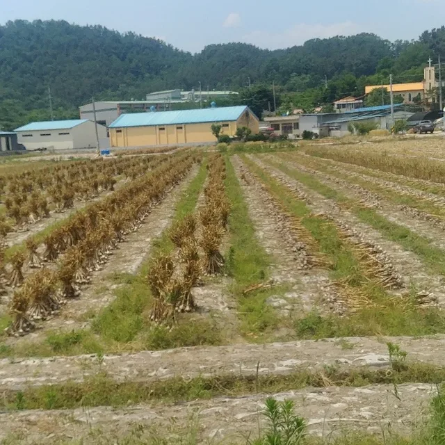 재도어