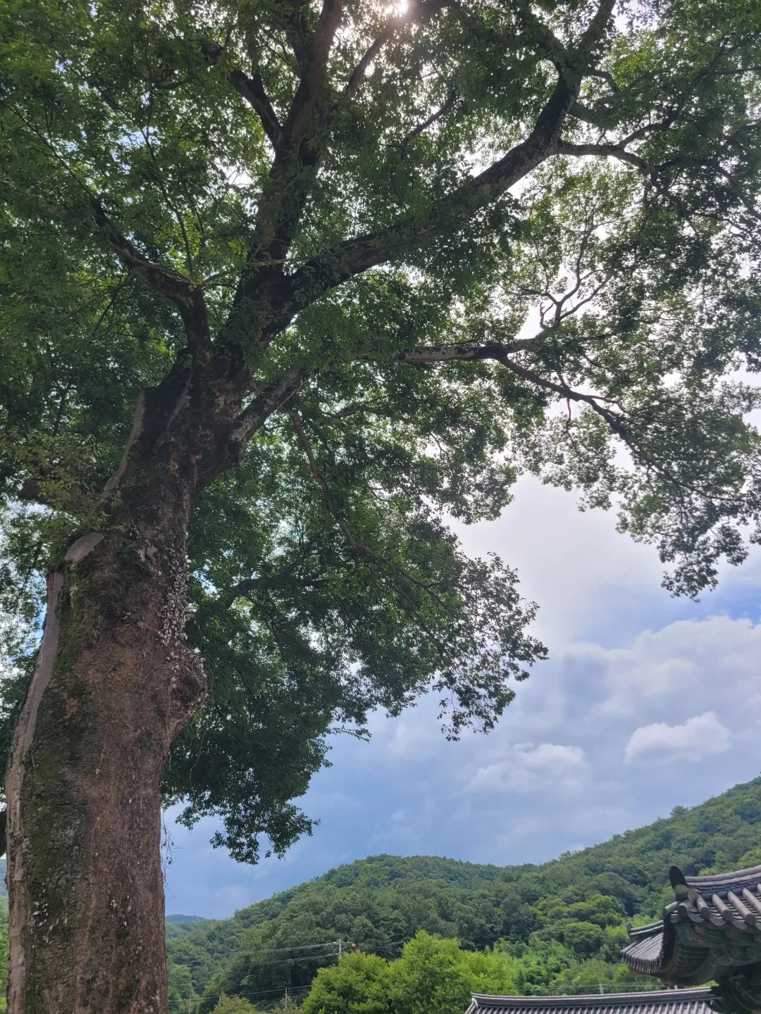 윤윤