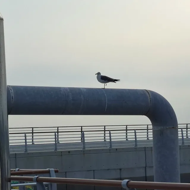 보문동