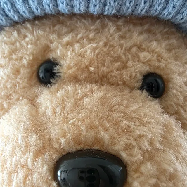 밤곰탱이