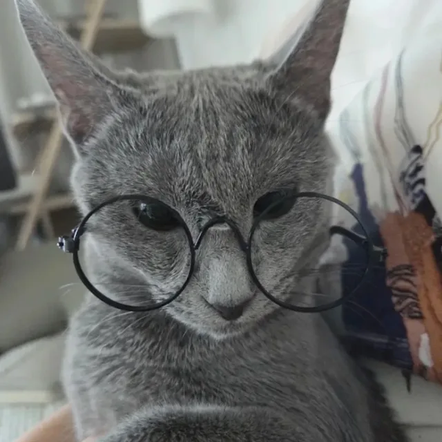 우베누베