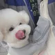 푸루루