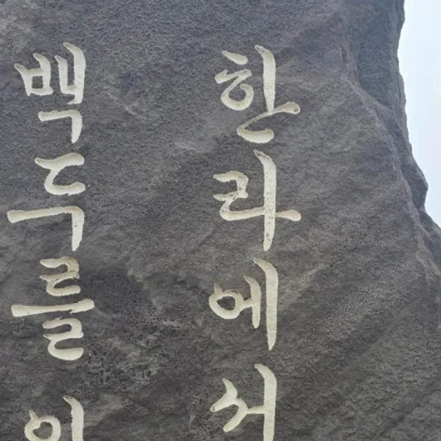 풀코스