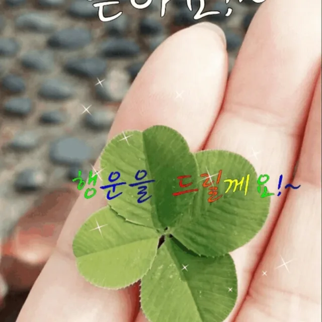 태양