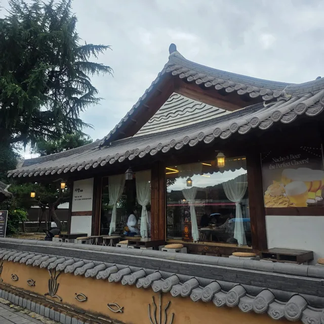 집수니