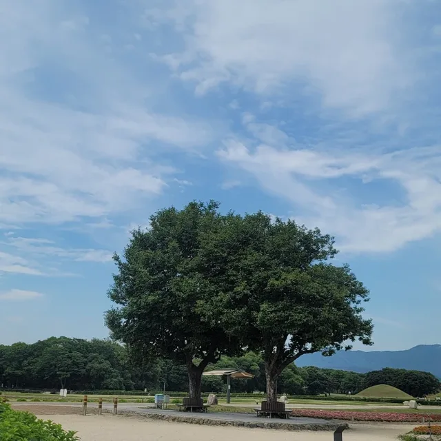 비워내기
