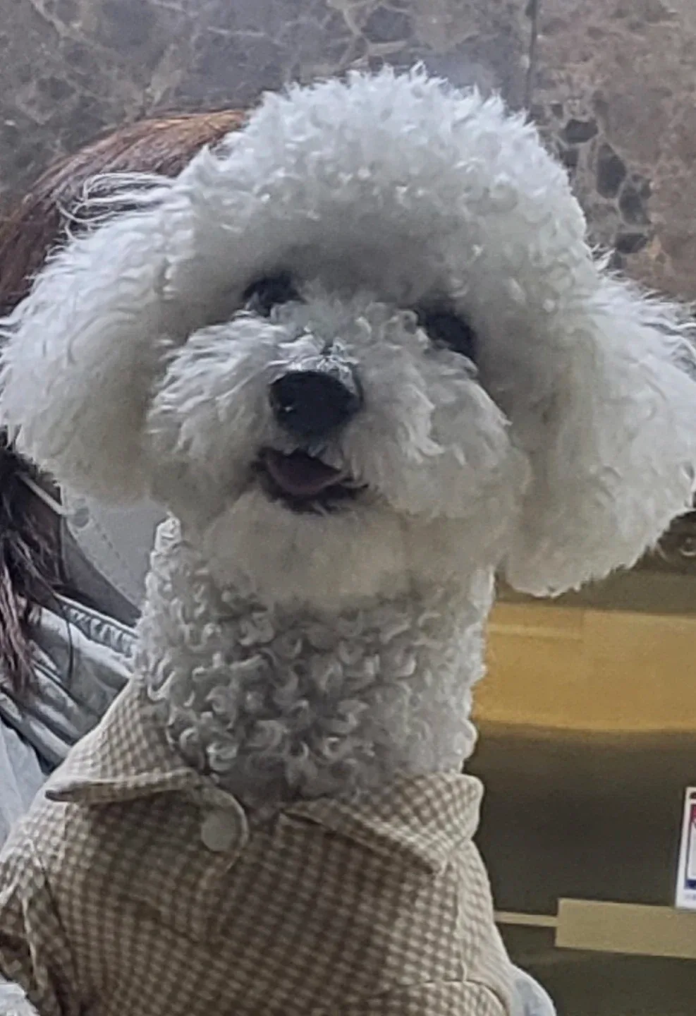 토네이도