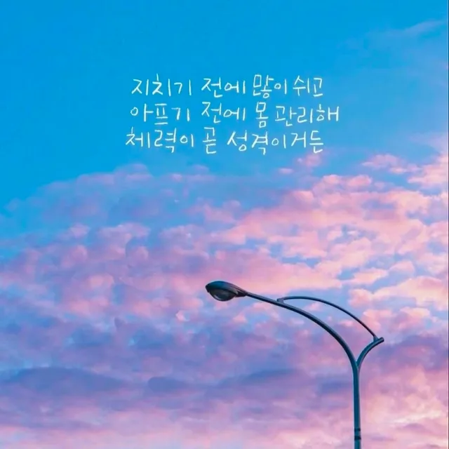 여우야