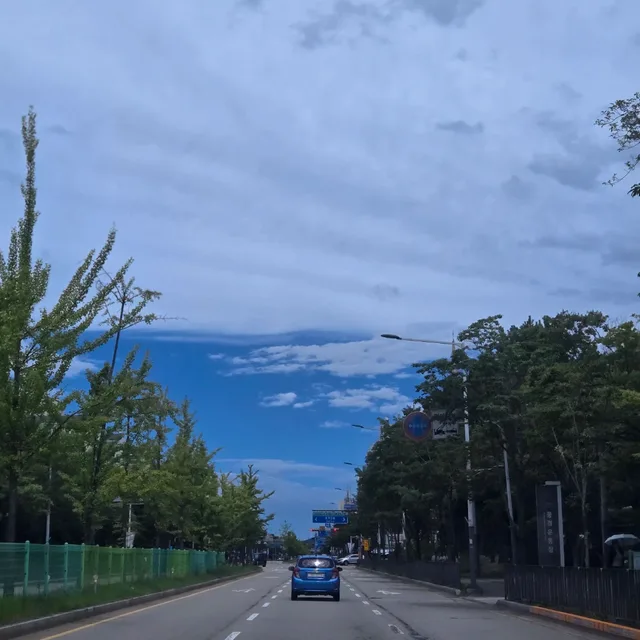 버터플라이