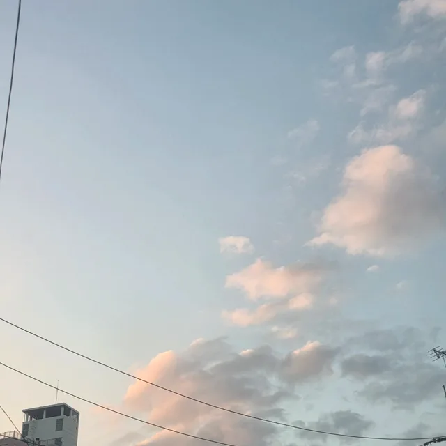 당근쥬세욤