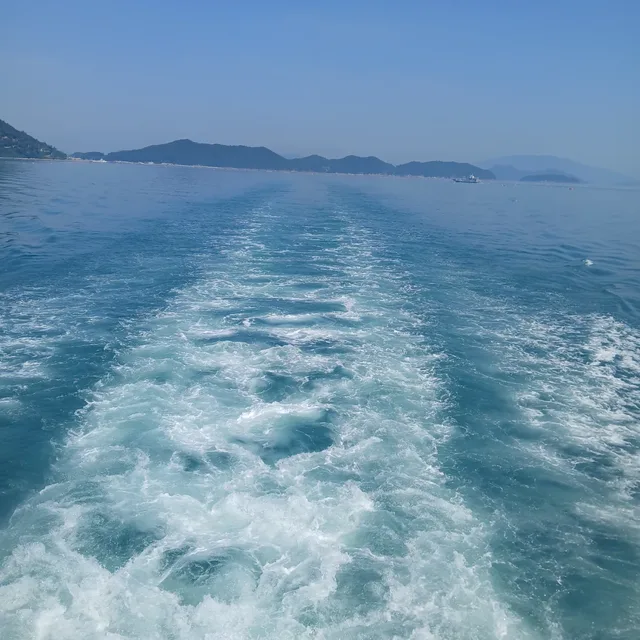 즐거운체리