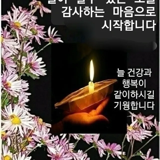 소나무