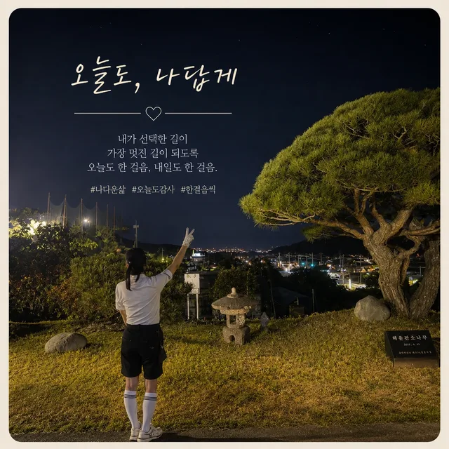 세연버디