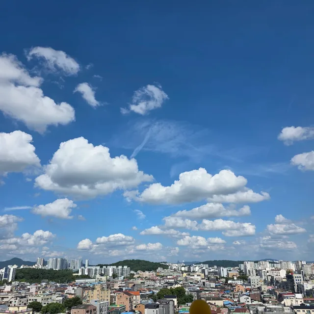 오리온