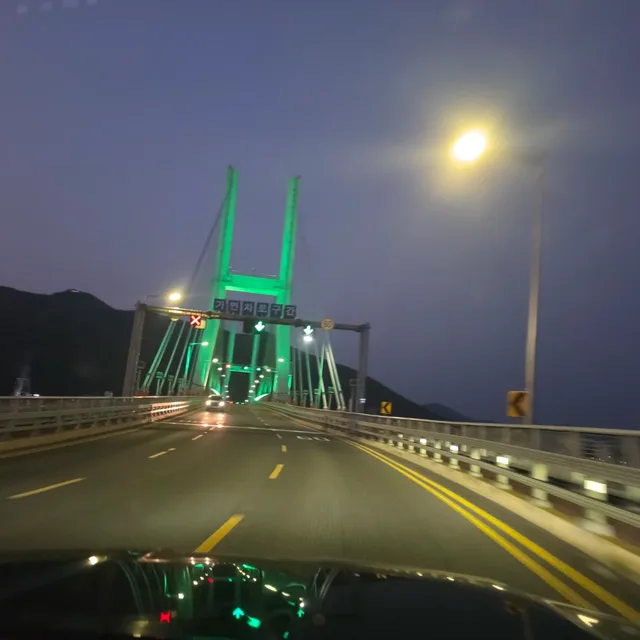 라이언