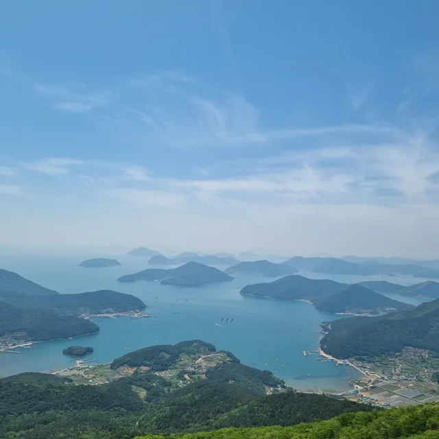 로라
