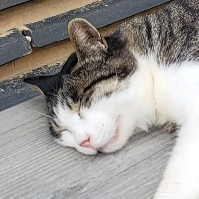 신혁