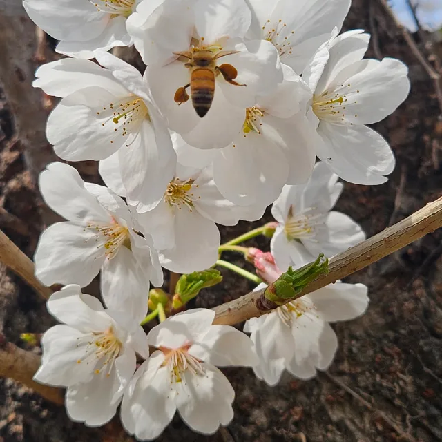 좋은날