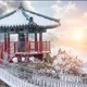 고요한삶