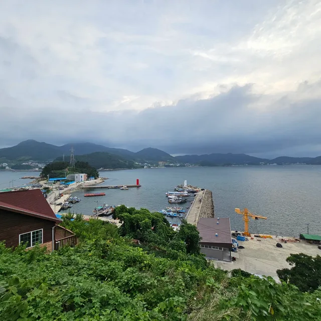 당근이지