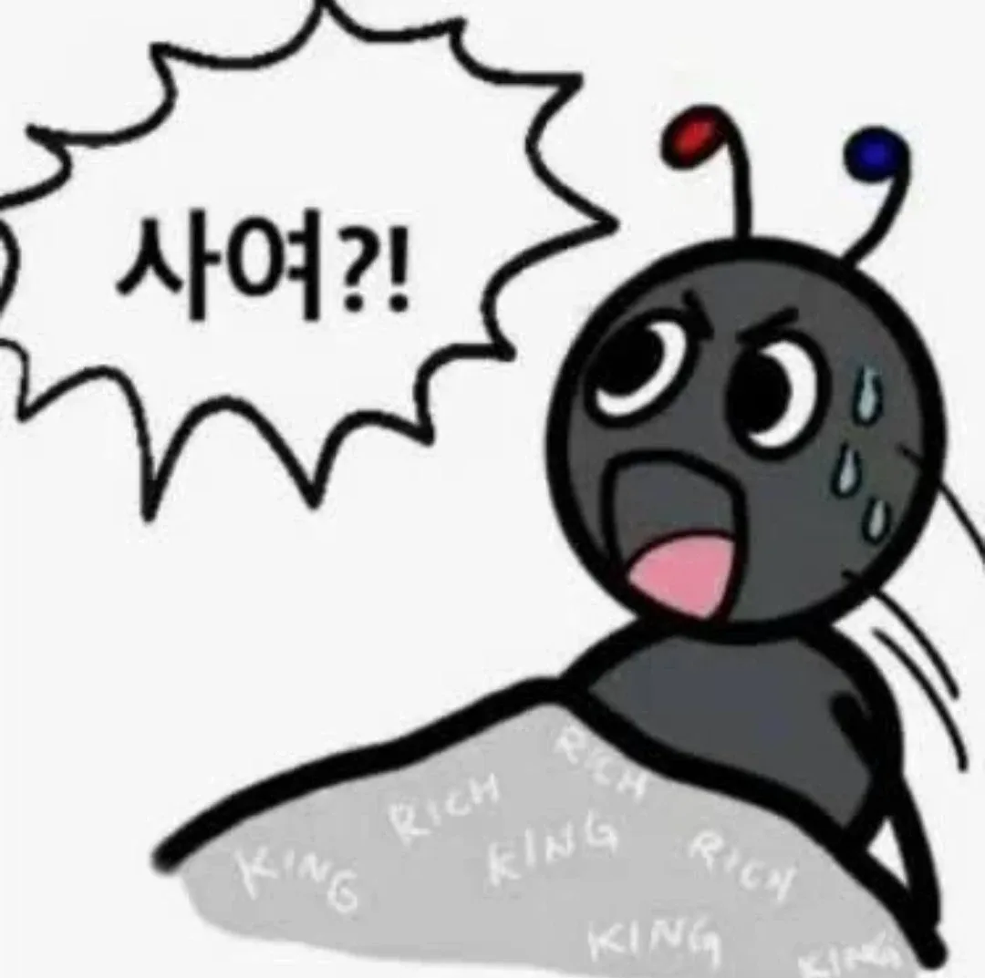 당근쏭