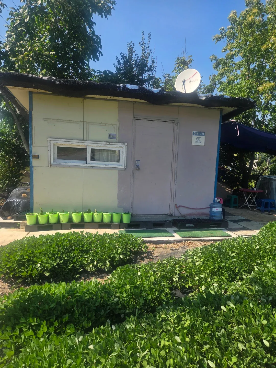 제천