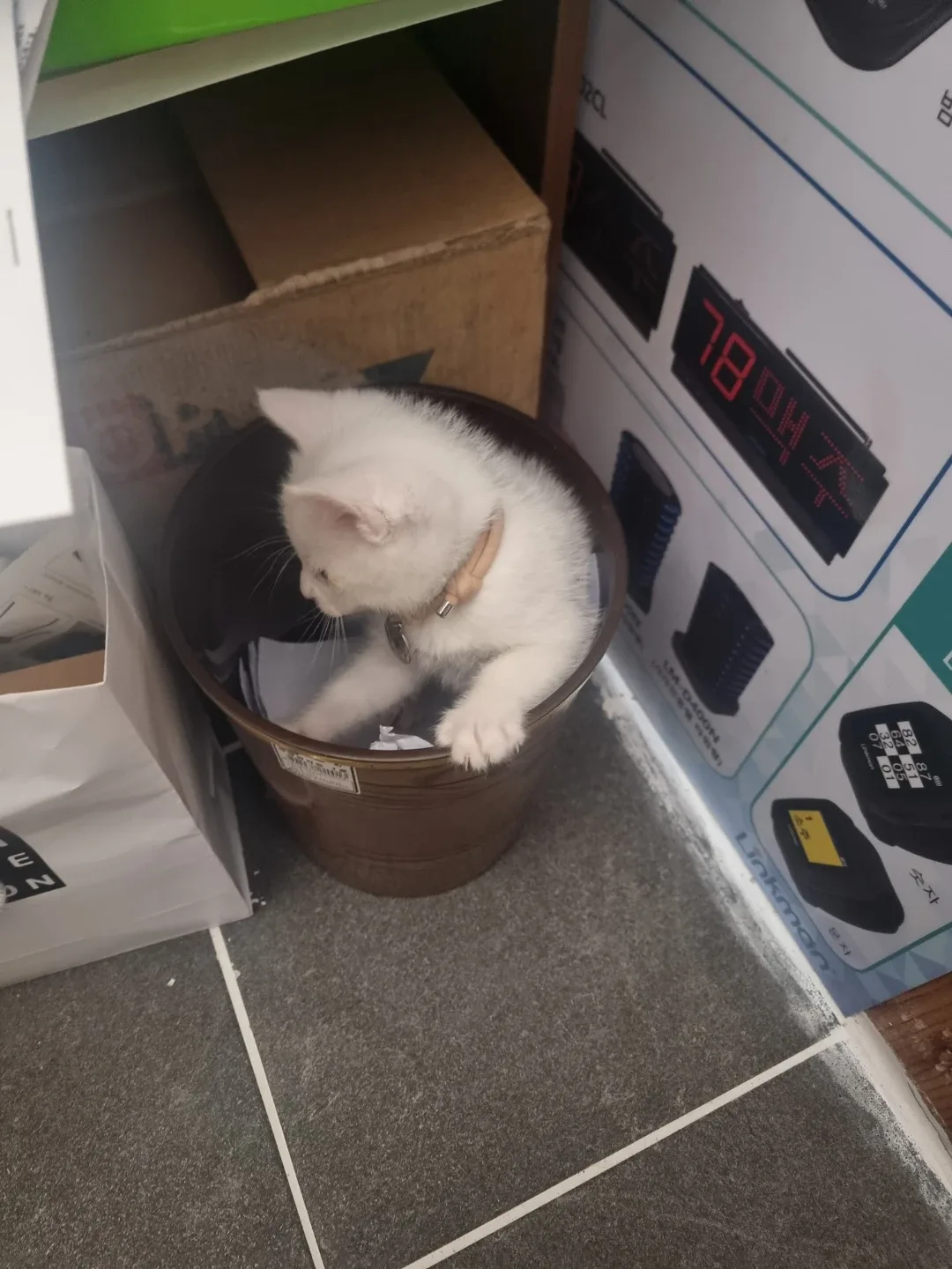 덥다