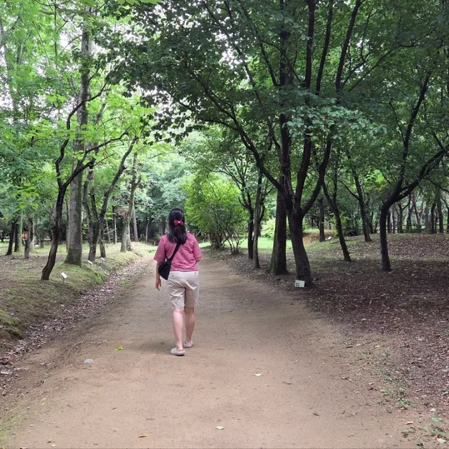 로오싸