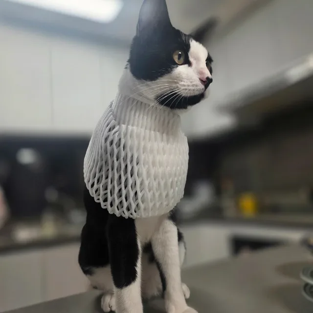 까미맘