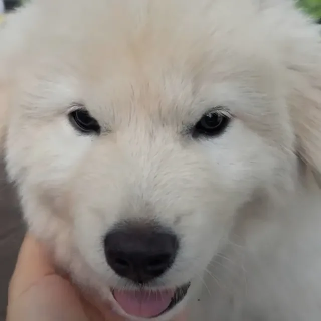 keun철