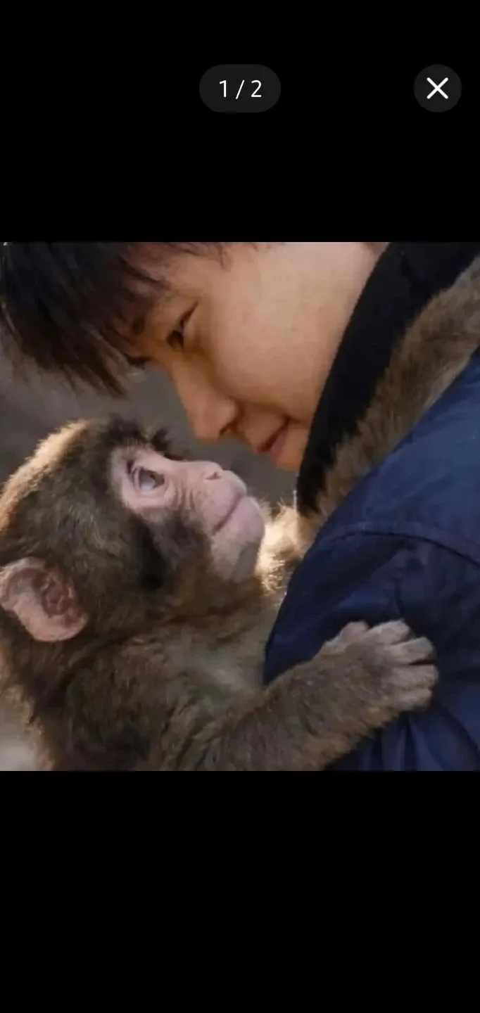 뚜끼짱