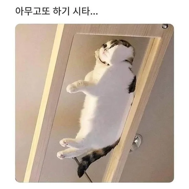 두루