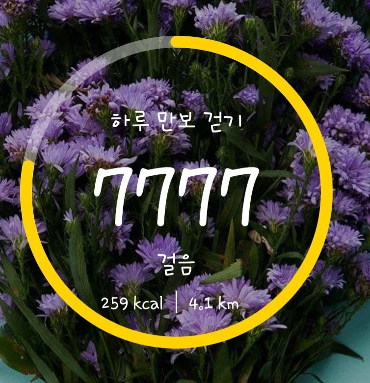 뚜벅이