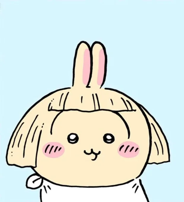 수집1년차