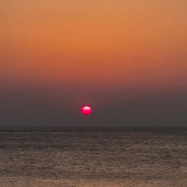 당근주세요