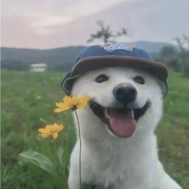 김감자
