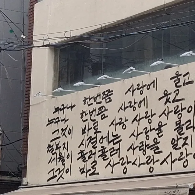 해바라기