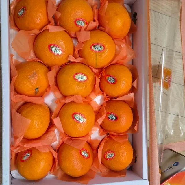 슝슝슝