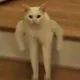 오이쉬에