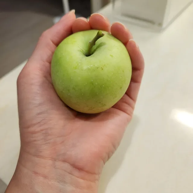 카피카피