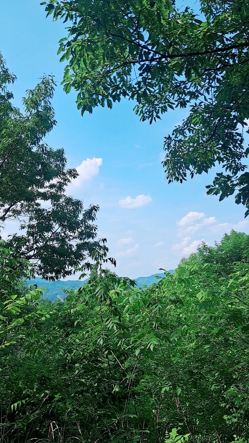 뻔스
